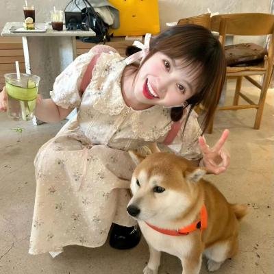 我的女友比我帅