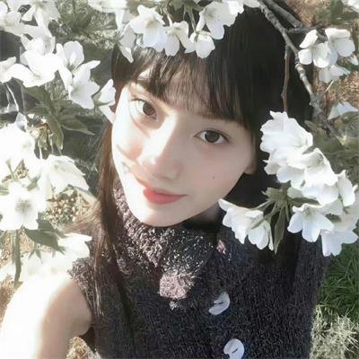 篷车之旅